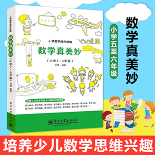 趣味数学 数学真美妙5-6年级 数学课外读物 5-6年级 数学课外书 数学辅导 数学思维训练 同步辅导 刘勇小学五六年级数学教辅书籍