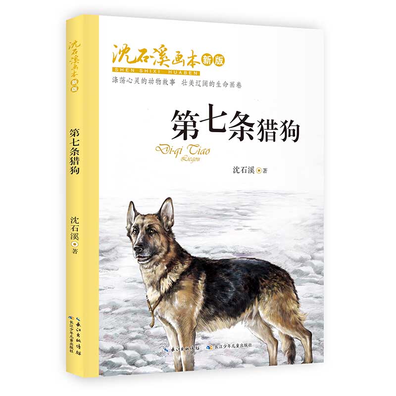 沈石溪画本第七条猎狗新版沈石溪 6-12周岁小学生课外阅读图书籍寒暑假书目长江少年儿童出版社