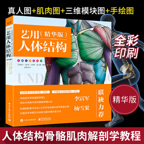 艺用人体结构【精华版】人物解剖学教程 画画贵哥肌肉骨骼造型技法理解人体形态 素描绘画形体艺术插画画册画集手绘伯里曼教学书籍