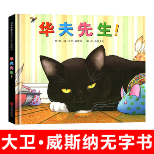 大卫威斯纳无字绘本华夫先生凯迪克大奖儿童绘本0-3-6周岁幼儿图画书籍启发童书馆选宝宝睡前故事书本亲子共读小学生课外阅读书籍