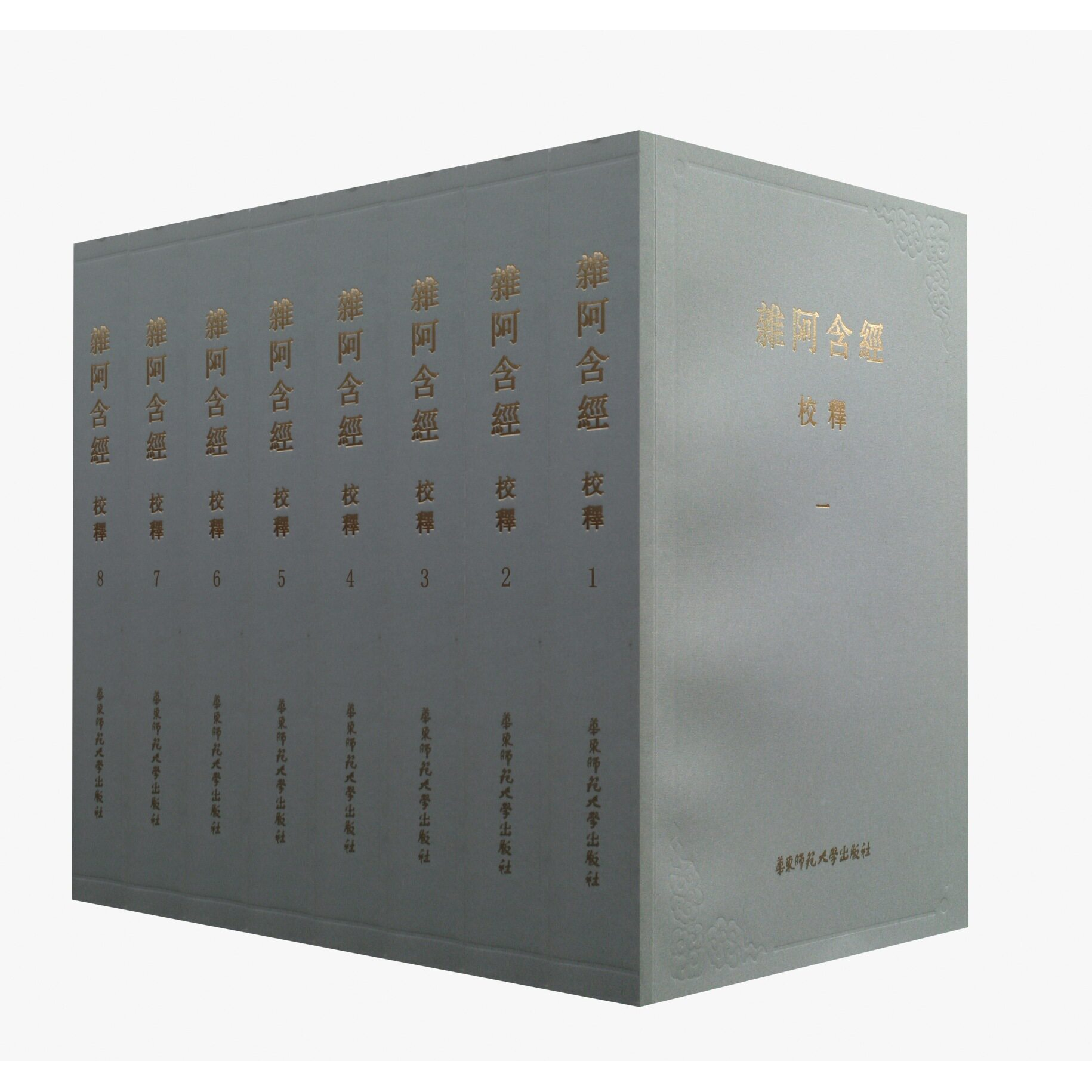 《杂阿含经》校释(精) 王建伟,金晖 全国古籍图书一等奖 佛学研究书籍 补全佚经 华东师范大学出版社