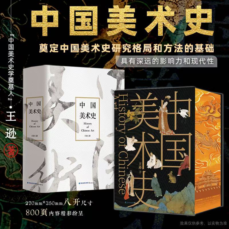 刷边版《中国美术史》一部科学的美术史 绘画建筑雕塑参考书籍 传承中华传统文化根基奠定中国美术史研究格局和方法的基础 王逊著