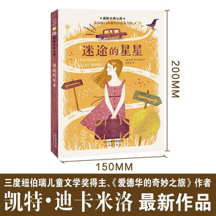 【官方正版】迷途的星星 少女出走独立成长自我救赎小学生暑假治愈读本 三四五六年级阅读能力提高写作指导睡前f非必读自我提升书