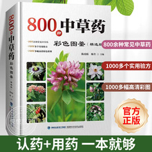 800种中草药彩色图鉴 精选版 中草药全图鉴 中草药彩图大全书籍本草纲目 野生中药草本植物图谱 中医养生药学实用验方中药配方正版