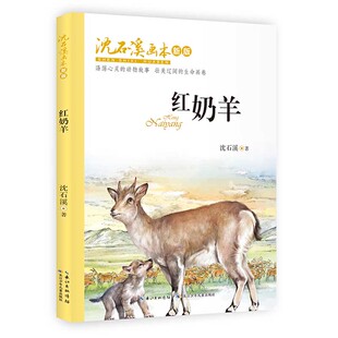 沈石溪6 新版 12周岁小学生课外阅读图书籍班主任寒暑假推荐 阅读书目 社 沈石溪画本 长江少年儿童出版 红奶羊