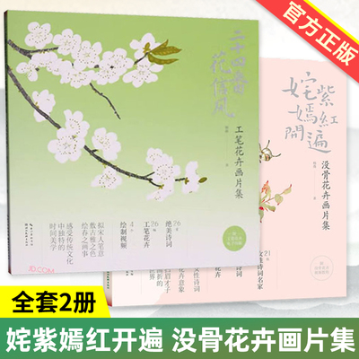 全套2册 姹紫嫣红开遍 没骨花卉画片集+二十四番花信风 工笔花卉画片集 花鸟画绘画技法教程书籍临摹画册恽寿平类中国画画集附视频