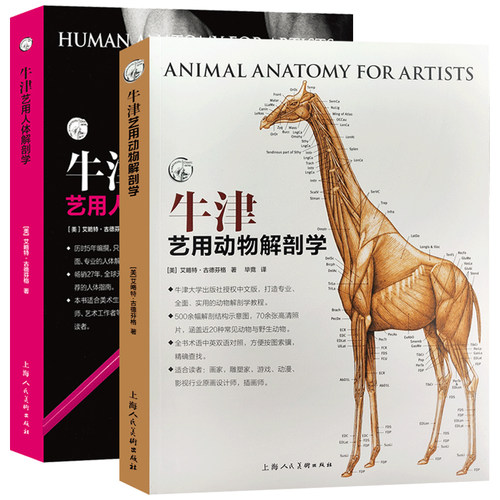 正版牛津艺用人体解剖学+牛津艺用动物解剖学2册 人体动物结构骨骼肌肉表面结构躯干绘画教学造型美术艺考教程书籍解剖学技法