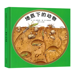 正版地底下的动物精装硬壳 启发绘本 3-6岁宝宝早教启蒙认知故事书一幅地底剖面绘卷真实呈现了地下表层土壤中的自然百科亲子共读