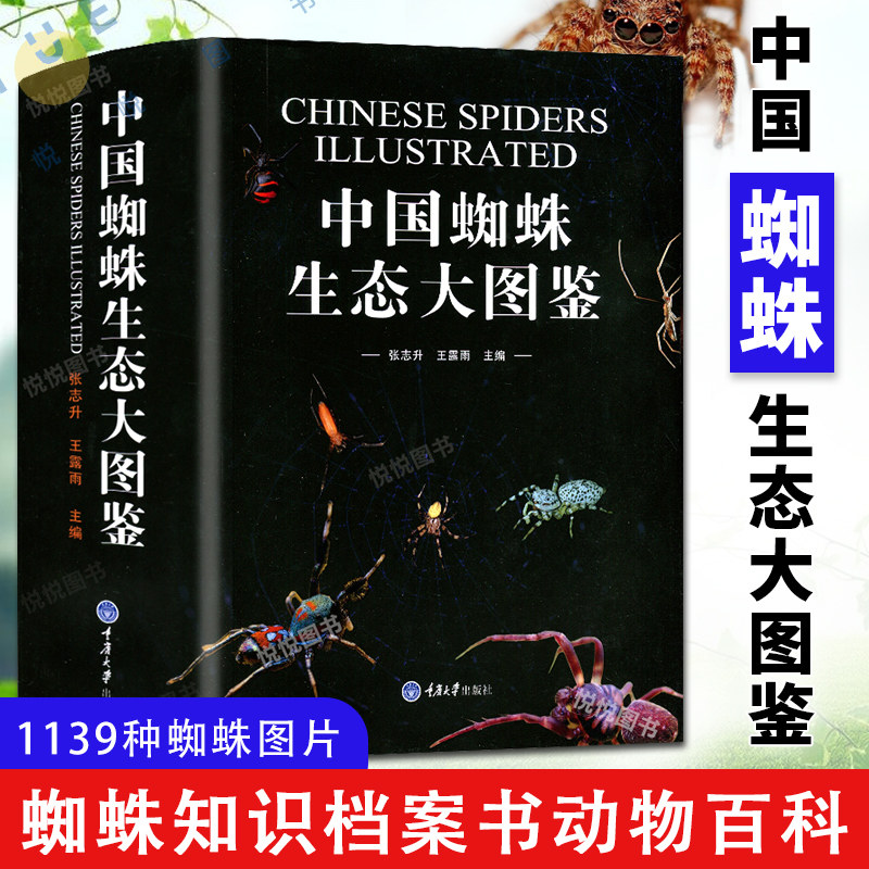 中国蜘蛛生态大图鉴 昆虫图鉴蜘蛛学蜘蛛生态识别 蜘蛛知识档案书动物百科 71科种类达1139种蜘蛛图片昆虫科普读物书籍怎么样,好用不?