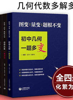 全套4本 图变量变式变题根不变初中代数几何一题多变 巧解妙解化繁为简初中代数几何一题多解中考数学复习资料 初中数学通用教辅