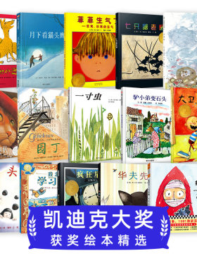 凯迪克大奖系列绘本合集 精选金奖银奖国际获奖绘本故事书3-6岁儿童绘本推荐幼儿园小学生课外书籍阅读石头汤菲菲生气了大卫不可以