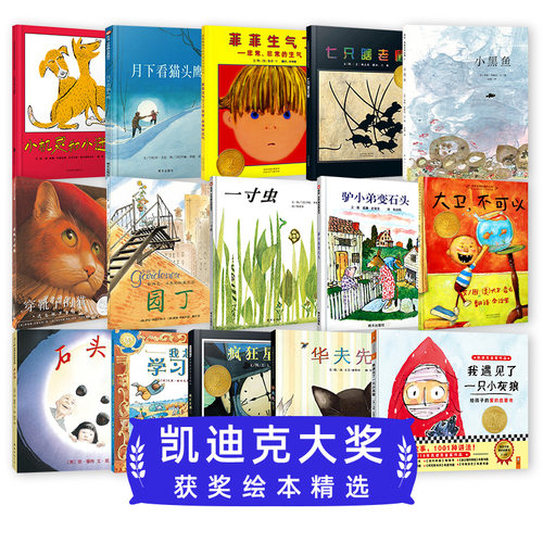 凯迪克大奖系列绘本合集 精选金奖银奖国际获奖绘本故事书3-6岁儿童绘本推荐幼儿园小学生课外书籍阅读石头汤菲菲生气了大卫不可以