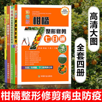 柑橘种植技术书籍4册 果树橘子桔子修剪农业种植管理技术高效栽培大全书病虫害防治生产精细管理十二个月绿色防控彩色图谱七日通