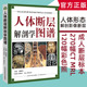 MRI断层解刨影像彩色插图学习参考书 人体局部解剖学教程教材西医学书籍 正版 刘树伟CT 现货 人体断层解剖学图谱