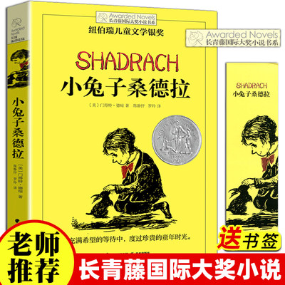 小兔子桑德拉 长青藤国际大奖小说 7-9-10-12-14外国儿童文学动物小说童话故事书成长教育读物 二三四五六年级小学生课外阅读书籍