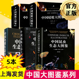 鸟类生态大图鉴 蜻蜓大图鉴 昆虫大全图鉴 蜘蛛生态大图鉴 全5册 中国生态大图鉴 正版 昆虫生态大图鉴