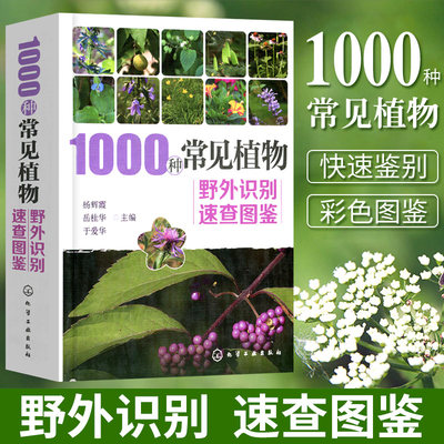 1000种常见植物野外识别速查图鉴 杨辉霞 家庭书籍野外识别原植物鉴别图册中国常用手册 图识别与应用图典图谱 化学工业出版社