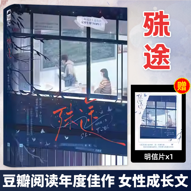 官方正版【赠明信片】殊途 咚咚锵著 大鱼文化豆瓣阅读年度佳作 女性成长文轻小说 大陆青春文学言情校园晋江正版畅销小说书籍图片