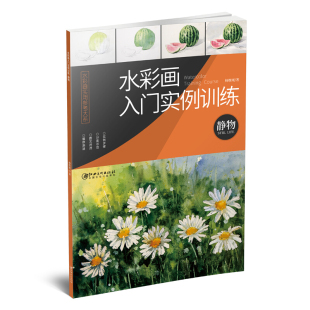水彩画实用参考大系 杨维刚著 专业水彩画教程绘画书籍 正版 江西美术出版 静物 成人初学者水彩入门教材 社 水彩画入门实例训练