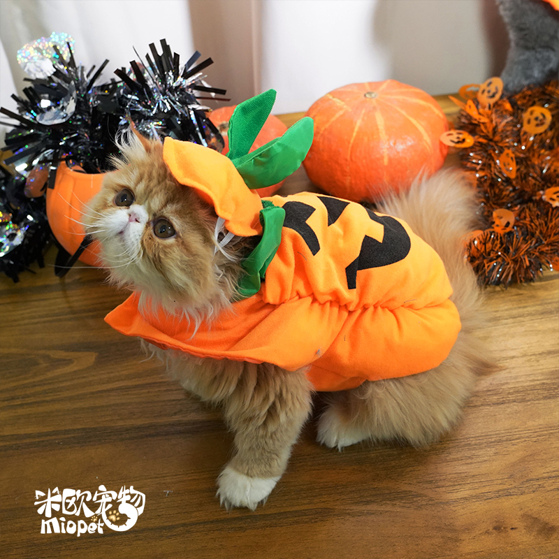 米欧宠物 万圣节搞怪服饰 猫服装 南瓜变身装