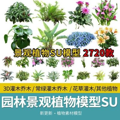 2D3D园林景观植物花草树木乔木花卉灌木sketchup草图大师SU模型库
