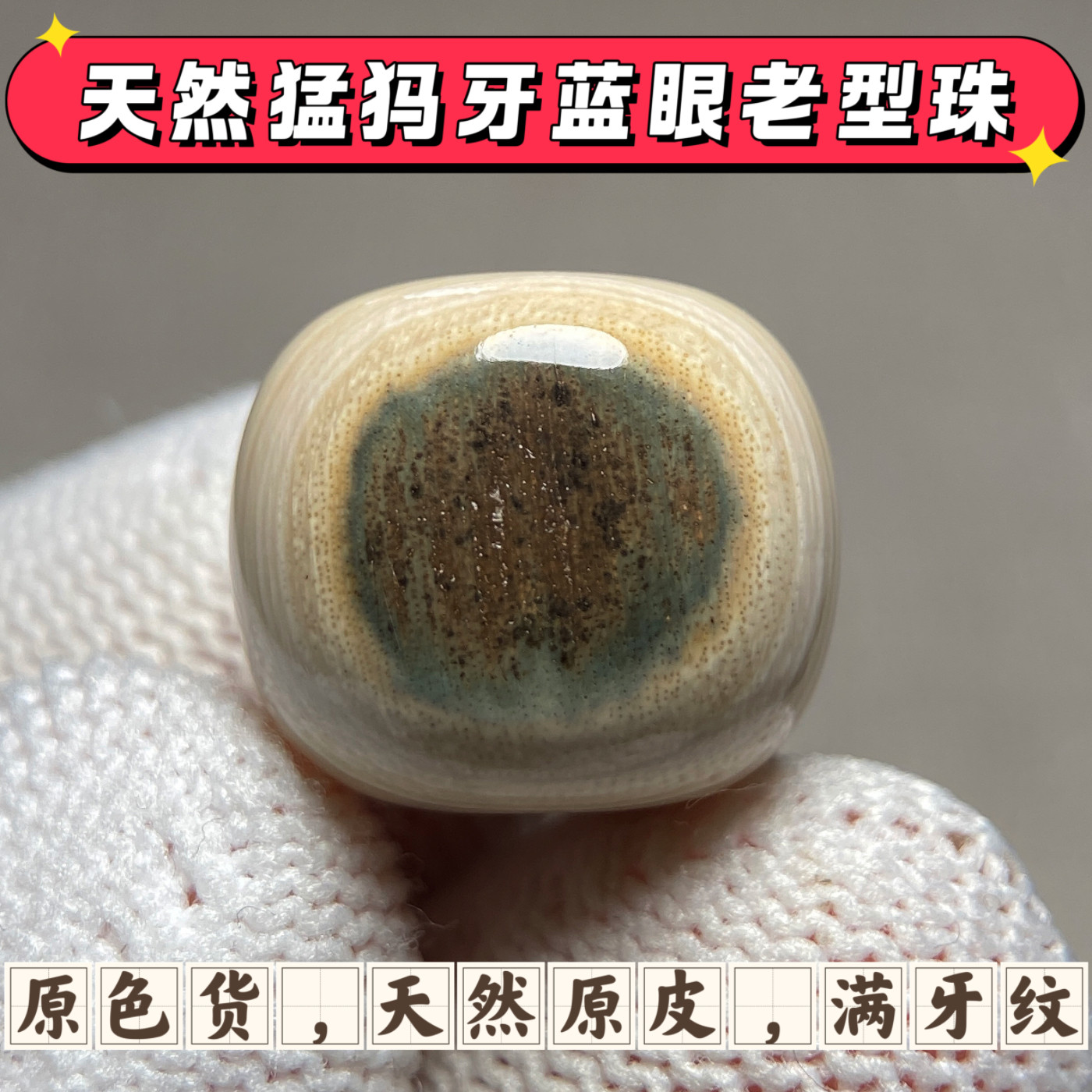 天然猛犸象牙散珠带原皮猛犸牙单珠配珠蓝眼猛犸牙老型珠一物一图