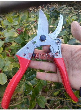 ZH-303张小泉剪枝剪花剪修枝盆景剪刀稀果剪采果园林园艺厨房家用