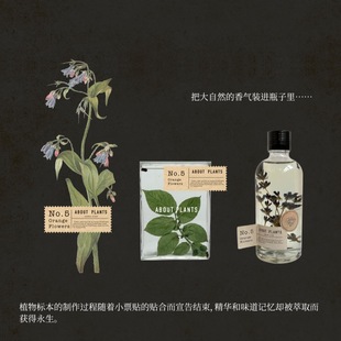 ABOUT 无火扩香室内香氛房间香薰摆件自然香型 PLANTS