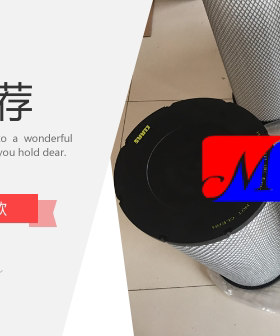 工程机械大型自卸车保养配件P608306/P608305配套空气滤芯