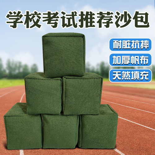 沙包小学生专用儿童丢沙包幼儿园成人投掷体育课考试达标体测沙包