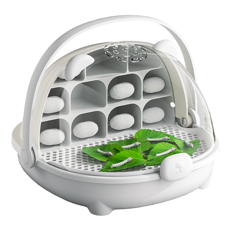 蚕宝宝学生养蚕套装培育饲养盒七彩蚕送新鲜桑叶豪华太空舱送蚕卵