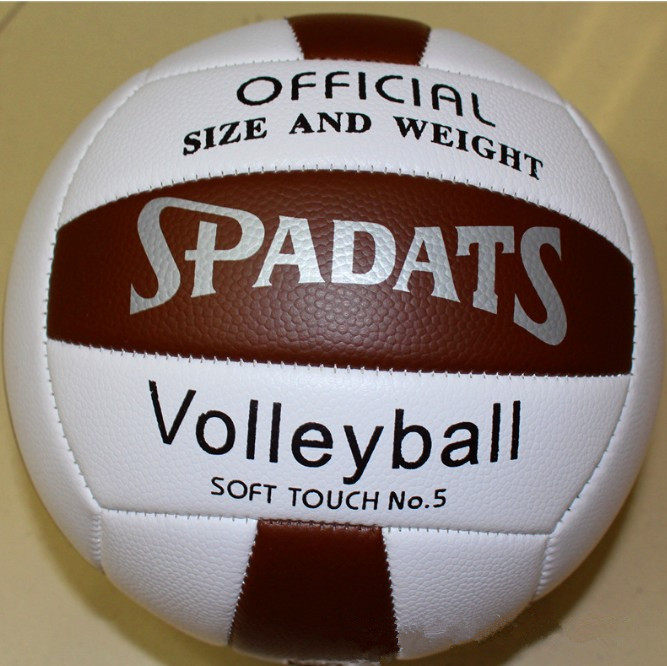 Ballon de volley-ball - Ref 2012580 Image 1