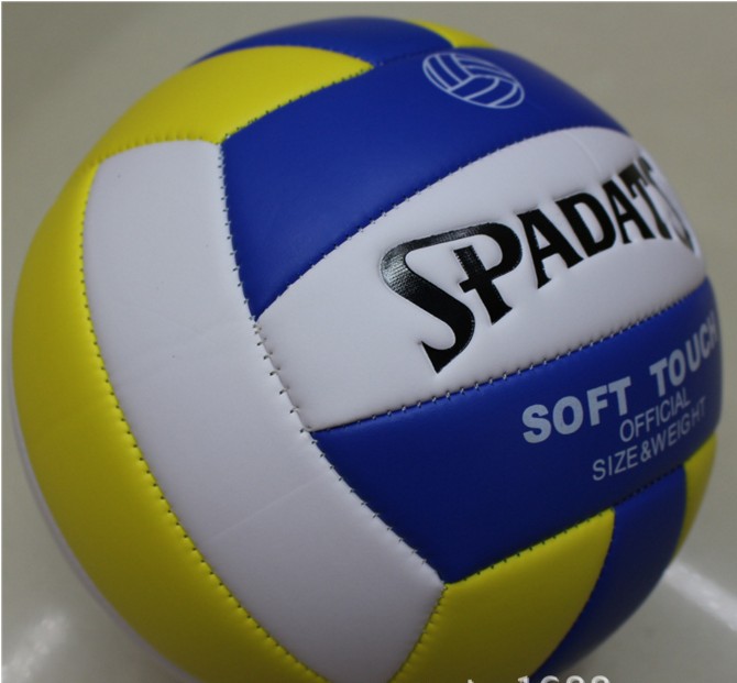 Ballon de volley - Ref 2012282 Image 3