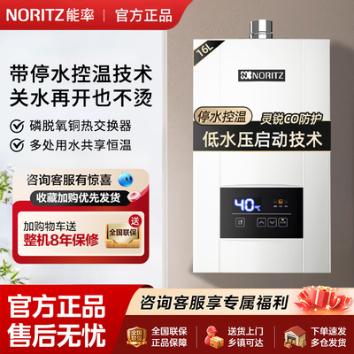 能率智能恒温16升强排式天然气