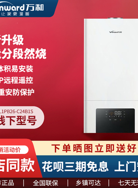 万和壁挂炉C24/28B1S/C36B1/Y18B1S/Y24B1S/Y28B1S燃气采暖两用