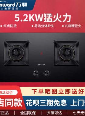Vanward/万和 JZT-Q5L26燃气灶嵌入式台嵌两用猛火聚能灶 9段精控