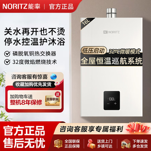 能率智能恒温小云朵强排式天然气