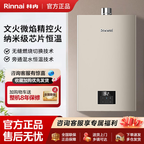 林内室内强排智能恒温进口芯片16