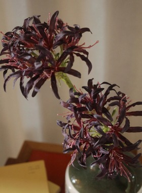 cosa仿真彼岸花曼珠沙华百子莲手捧花拍照道具客厅餐厅装饰