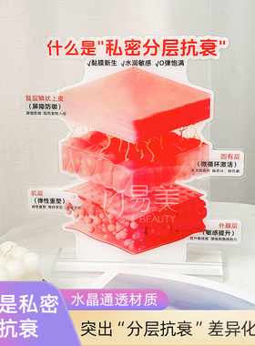 亚克力私密分层抗衰摆件复层鳞状上皮屏障防御弹性重塑展示模型牌