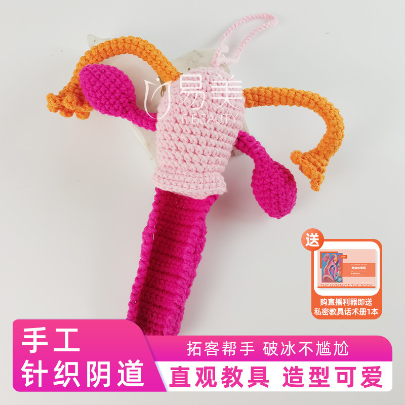 针织人体子宫解剖模型学生生理课