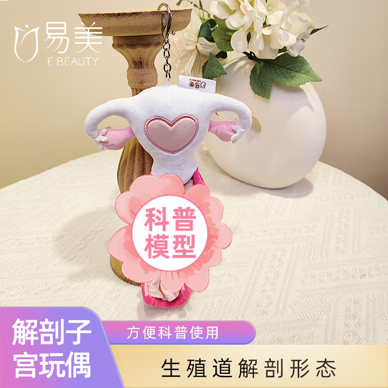 毛绒人体子宫阴道解剖玩偶玩偶