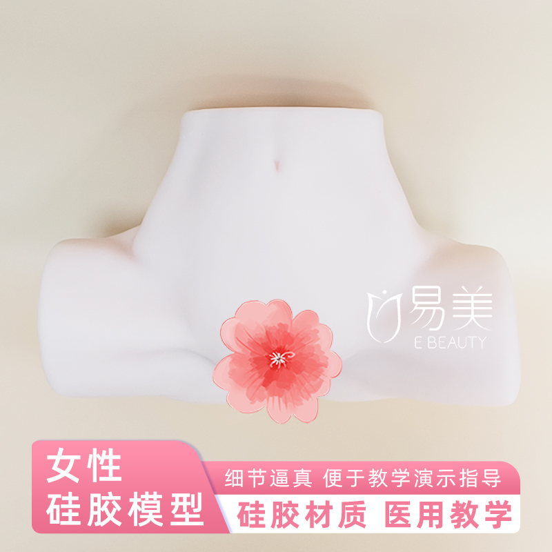 月子中心月嫂培训教具女性硅胶