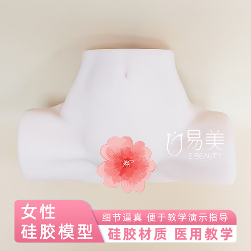 月子中心月嫂培训教具女性硅胶
