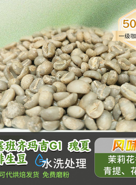 埃塞班齐玛吉G1 瑰夏咖啡生豆可定制烘焙2024新产季精品生豆500g