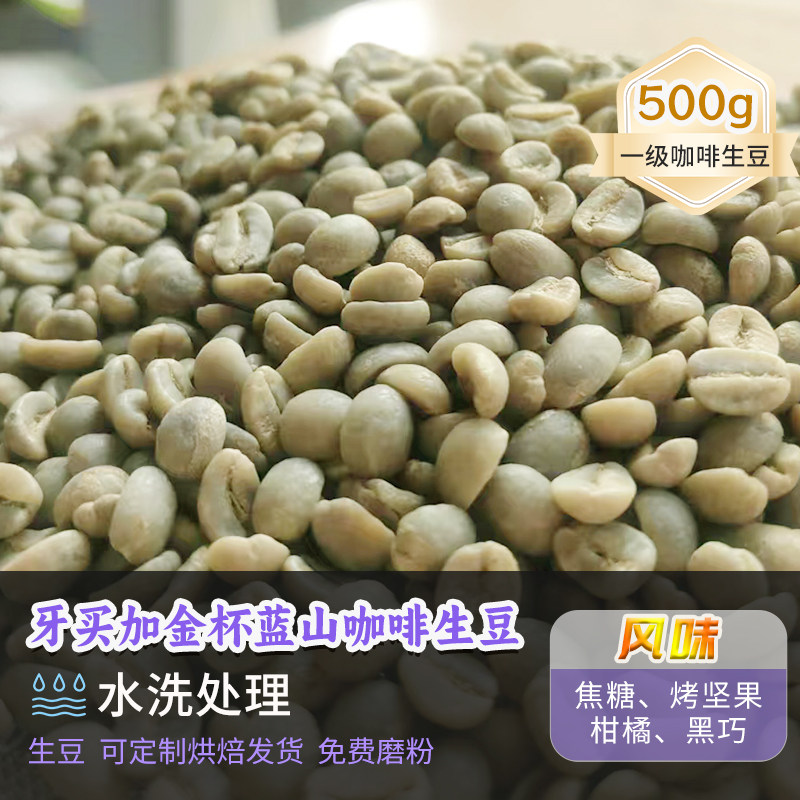 牙买加金杯庄园蓝山1号水洗定制烘焙新产季香浓精品咖啡生豆500g