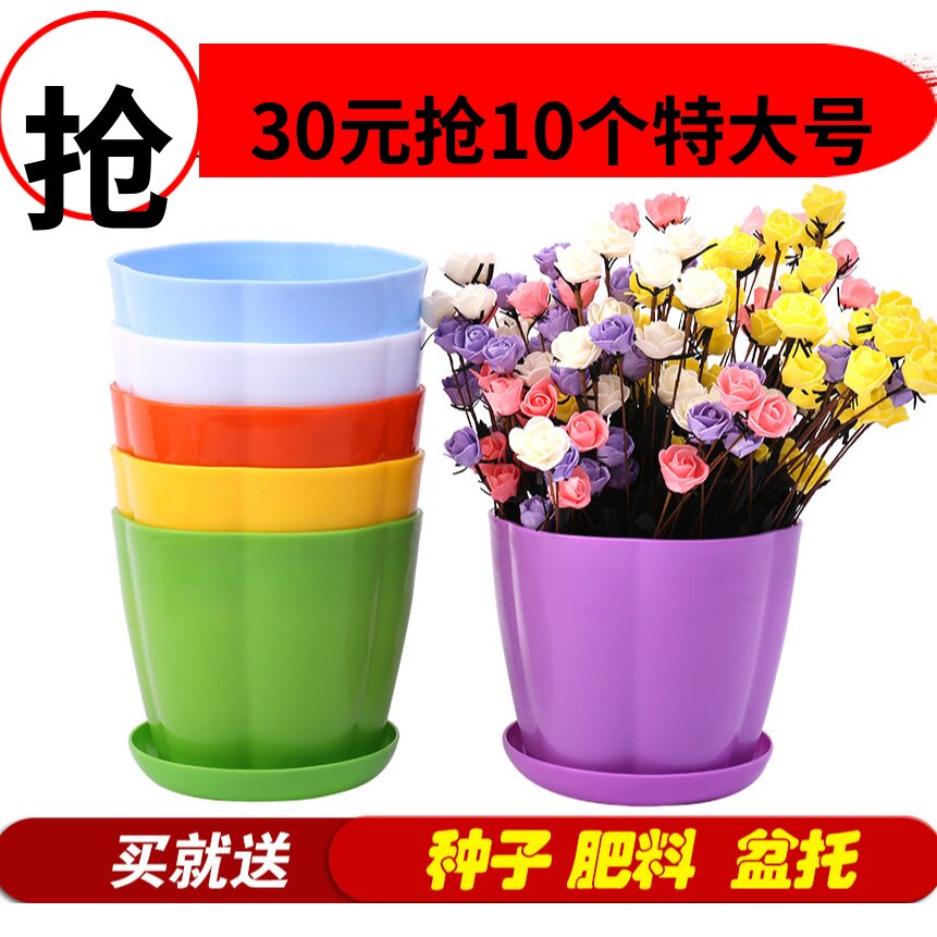 彩色室内多肉创意圆形阳台盆栽