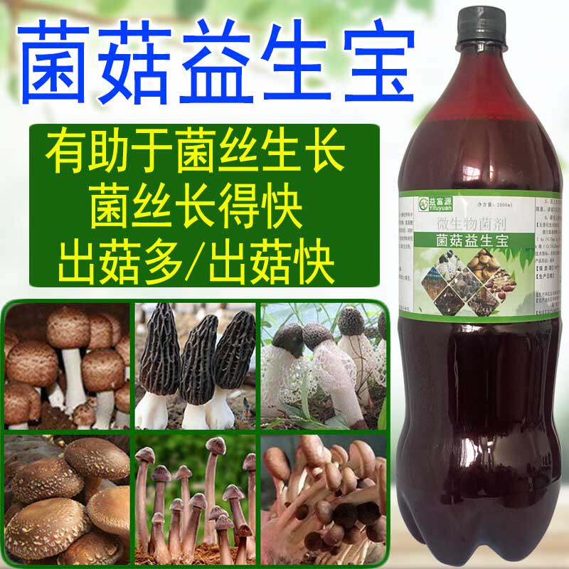 羊肚菌专用营养液菌菇益生宝竹荪巴西菇食用菌疯长催菇肥料生长素