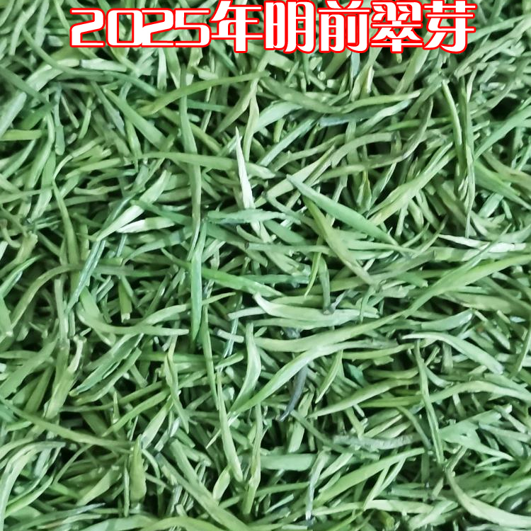 2025新茶春茶特级贵州雀舌湄潭翠芽云雾高山明前其它绿茶炒青绿茶