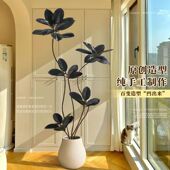 橡皮树黑金刚可水培土培室内绿植四季 自营 阳台室内好看植物